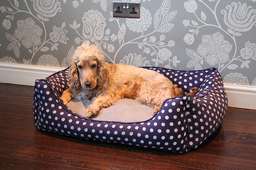 PET REBELLION Pelíšek pro psa Dog Bed, modrý, 90x80x25cm
