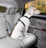 Bezpečnostný autopás pre psa s upínacím mechanizmom Kurgo Direct to Seatbelt Tether 