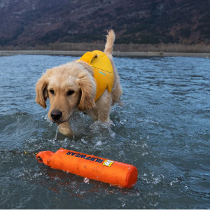 hra_ky_pre_psy_ruffwearlunker__1