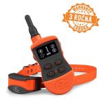 elektronick_elektrick_obojoksportdog500m