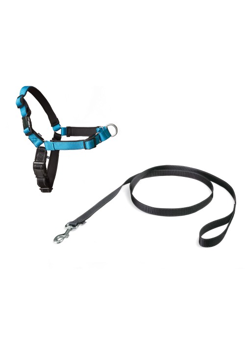 Postroj EasyWalk Deluxe, aqua blue M/L