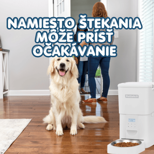 Prečo pes šteká na zvonček? Ivan Pavlov a pozitívny tréning