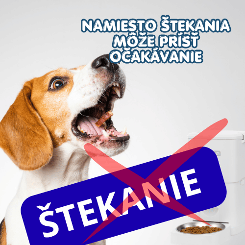 Môže automatické krmítko pomôcť pri štekaní na zvonček? 