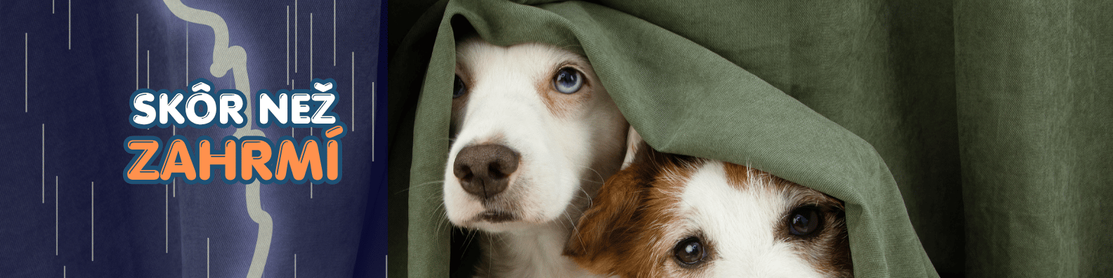 Pes a búrka, Flex Feed PetSafe