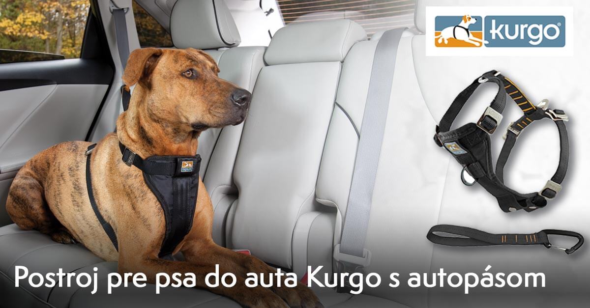 Postroj do auta Kurgo