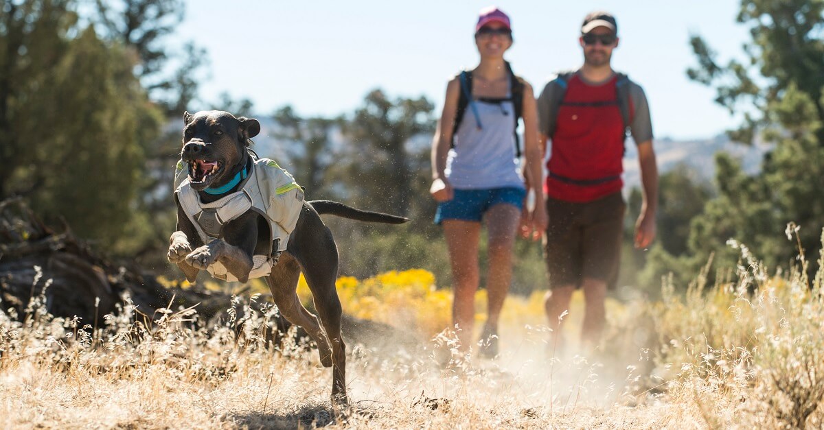 Chladiaca vesta pre psy Ruffwear Swamp cooler™