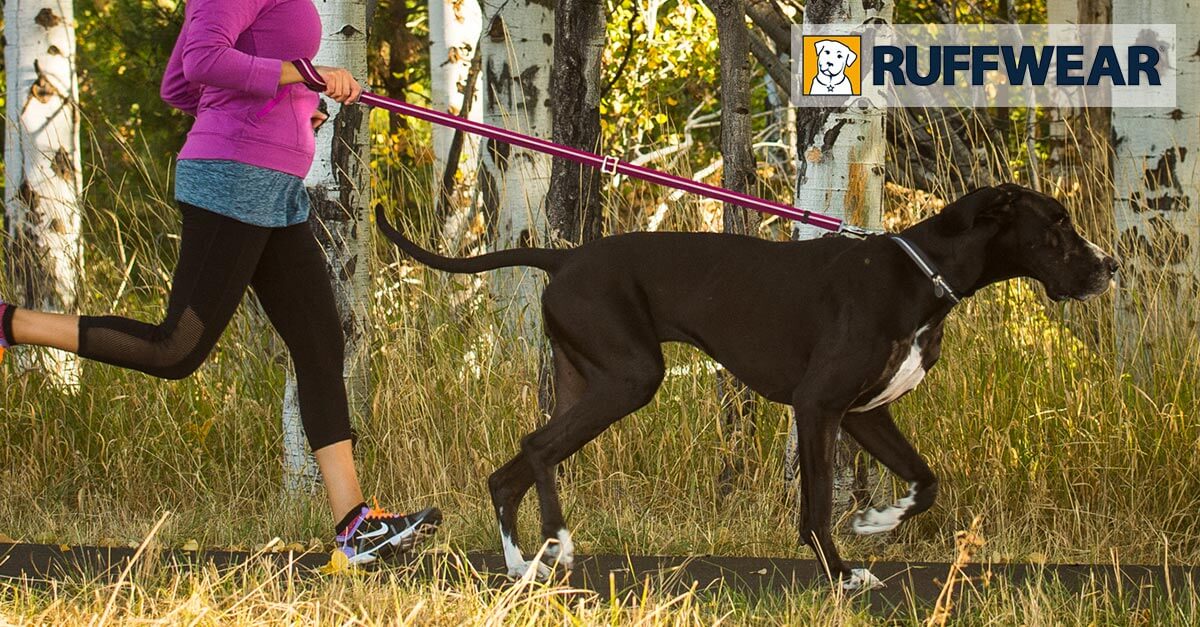 voditko pre psa Ruffwear Slack line