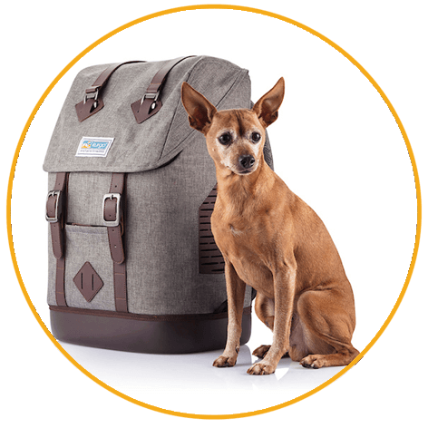 Kurgo Rucksack