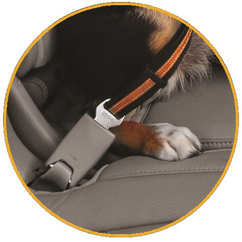 Direct to Seat Belt Swivel Tether - Safety