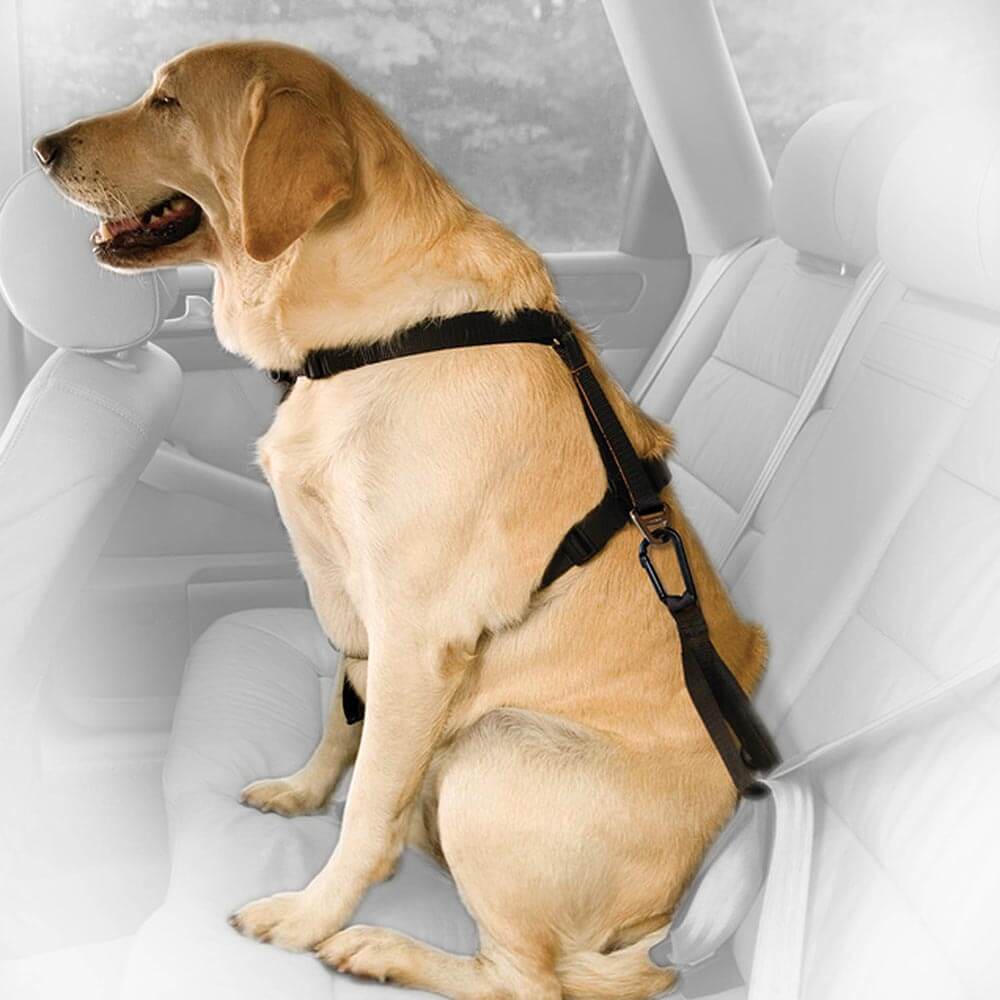 Bezpečnostný autopás pre psa s uškom Kurgo Seatbelt Tether