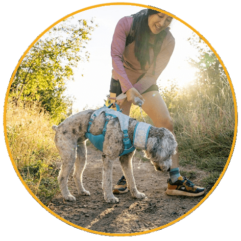 Postroj pre psy Ruffwear Swamp Cooler™