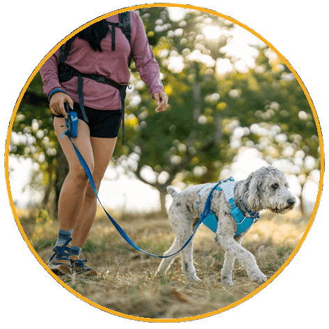 Postroj pre psy Ruffwear Swamp Cooler™