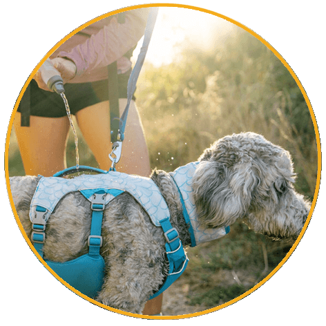Postroj pre psy Ruffwear Swamp Cooler™