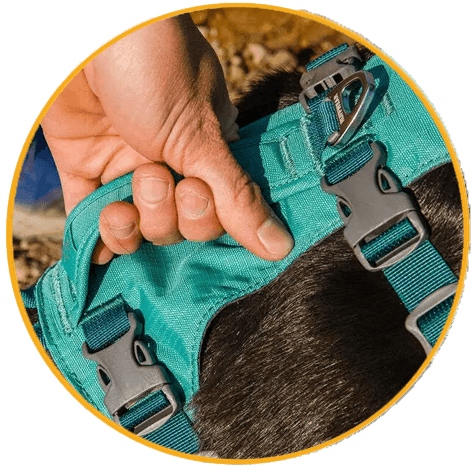 Postroj pro psy Ruffwear Flagline™