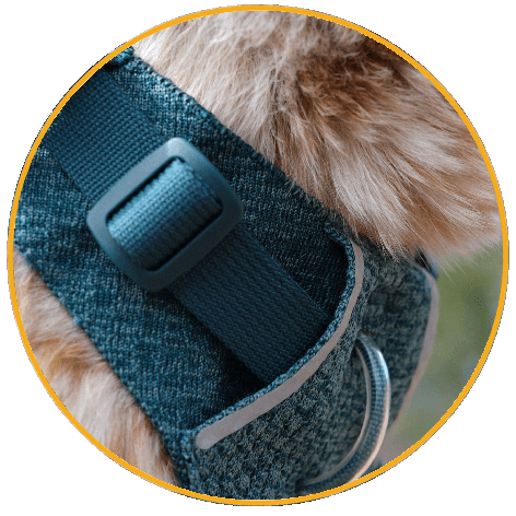 XPAC® RX30 Postroj pro psy Ruffwear Front Range® Flex