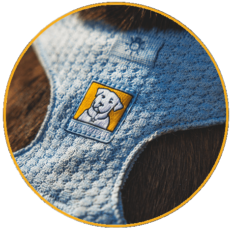Fidlock® Magnetic V-Buckle Postroj pro psy Ruffwear Front Range® Flex