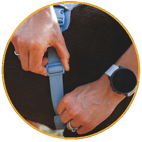 Rukověť s panelem pro rozložení zátěže v oblasti hrudníku a břicha Postroj pro psy Ruffwear Front Range® Flex