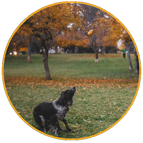 Hračka pre psy, Ruffwear, Gnawt-a-Cone™
