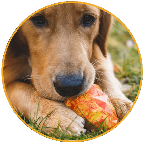 Hračka pre psy, Ruffwear, Gnawt-a-Cone™