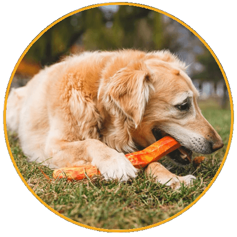 Hračka pre psy, Ruffwear, Gnawt-a-Stick™