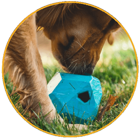 Hračka pre psy, Ruffwear, Gnawt-a-Rock™