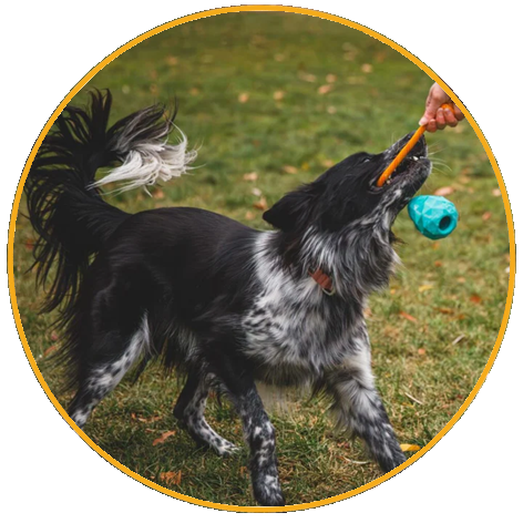 Hračka pre psy, Ruffwear, Huck-a-Cone™