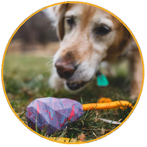Hračka pre psy, Ruffwear, Huck-a-Cone™