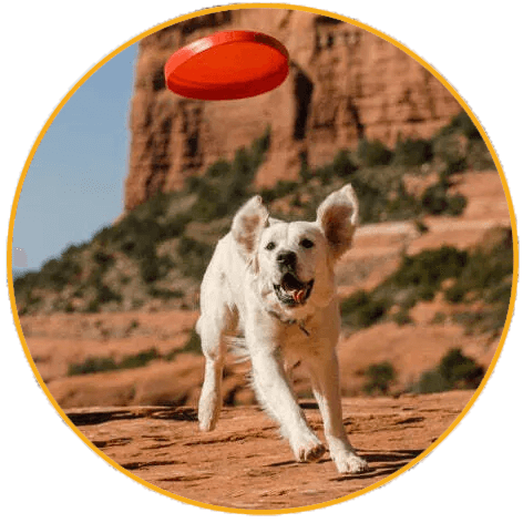 Hračka pro psa Ruffwear, Camp Flyer™