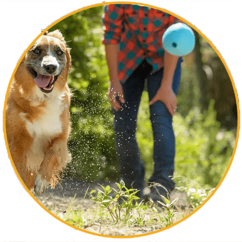 Hračka pro psa Ruffwear, Huckama™
