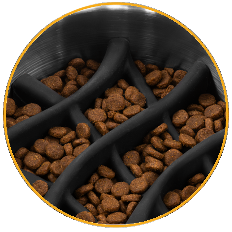 Basecamp™ Slow Feeder