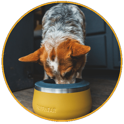 Basecamp™ Anti-Splash Ring