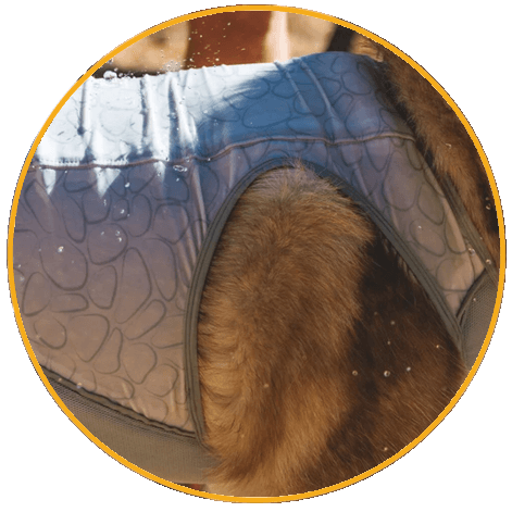 Chladiaca vesta pre psy Ruffwear Swamp Cooler Zip™