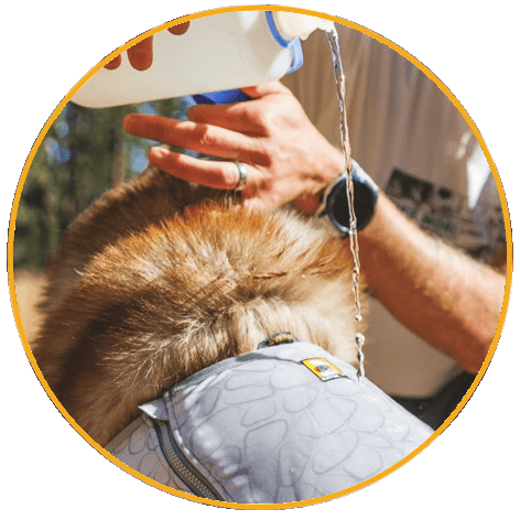 Chladiaca vesta Ruffwear Swamp Cooler Zip™