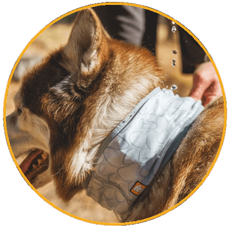 Ruffwear Swamp Cooler™ Cooling Neck Gaiter