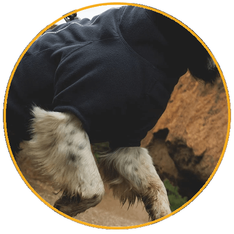 Ruffwear Climate Changer™ Fleece Jacket