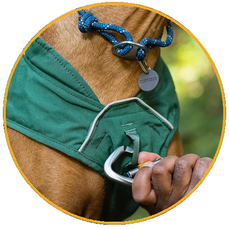 Ruffwear Overcoat Fuse™ Harness Jacket