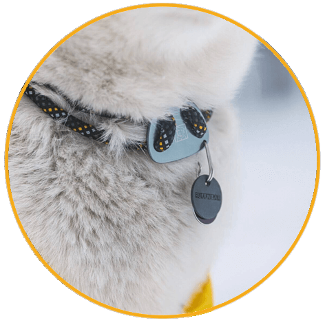 Obojok pre psy Ruffwear Knot-a-Collar™