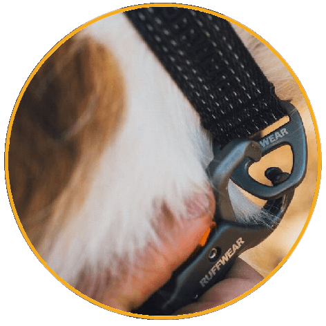 Vodítko pre psy Roamer Crag™ Dog Leash Obojek pro psy Ruffwear Ridgeline™ Collar