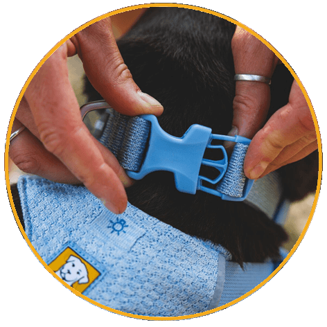 Obojek pro psy Ruffwear Front Range™ Flex Collar Obojek pro psy Ruffwear Front Range™ Flex Collar