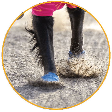 Ruffwear Hi & Light™ Trail Shoes