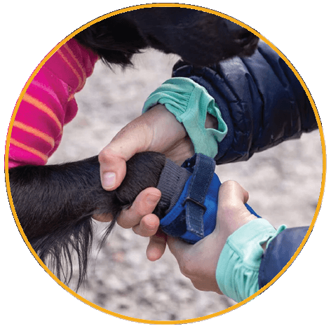 Ruffwear Hi & Light™ Trail Shoes