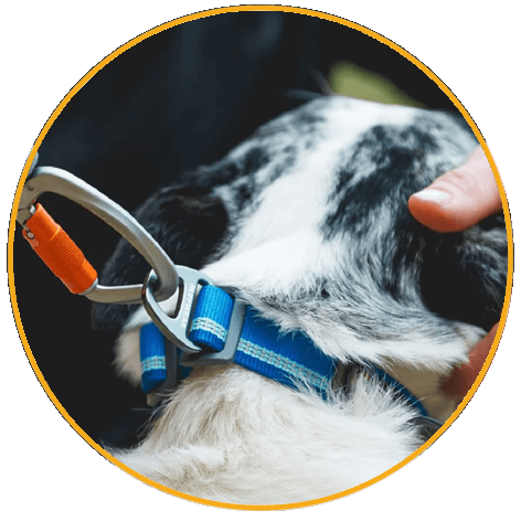 Obojok pre psy Ruffwear Knot-a-Collar™ 