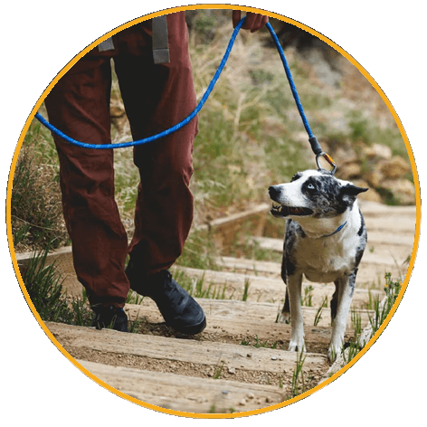 Obojok pre psy Ruffwear Knot-a-Collar™