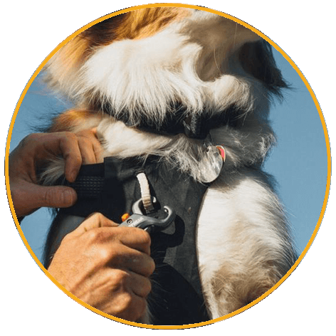 Vodítko pro psy Roamer Crag™ Dog Leash Vodítko pro psy Ruffwear Ridgeline™ Leash