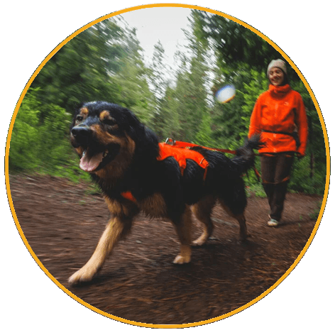 Vodítko pro psy Ruffwear Rogue™ Long Line
