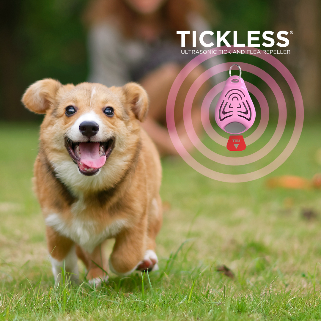 Tickless 